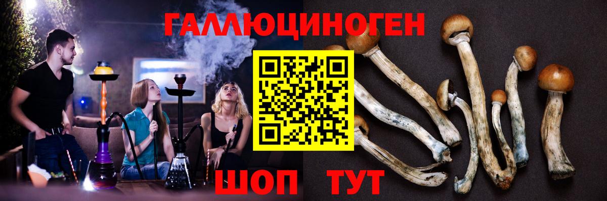 Обнинск  Псилоцибиновые грибы GOLDEN TEACHER  даркнет сайт  Галлюциногенные грибы MAGIC MUSHROOMS  Вход с VPN 